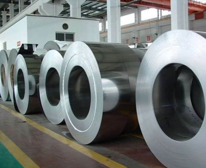 báo gái thép nhũ mới nhất